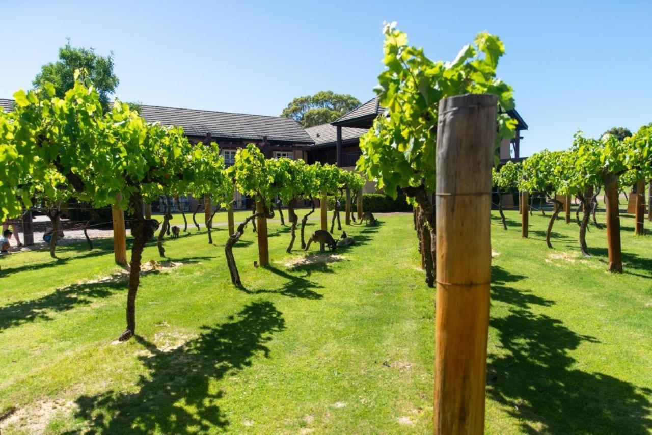 Novotel Vines Resort Swan Valley The Vines Exterior photo